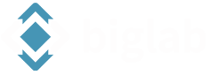 BIGLAB Logo